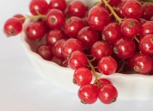 自家製 レッドカラント酒の作り方と保存方法 ジャム 果実酒