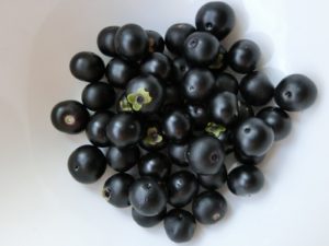 自家製 ハックルベリー酒の作り方と保存方法 ジャム 果実酒 自家製 ハックルベリー酒の作り方と保存方法 ジャム 果実酒